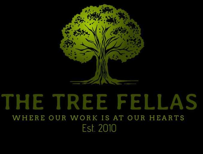 The Tree FellasmLogo